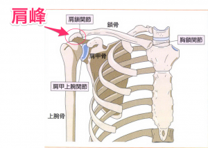 肩鎖関節を押すと痛いときに考えられる原因と治療を徹底解説
