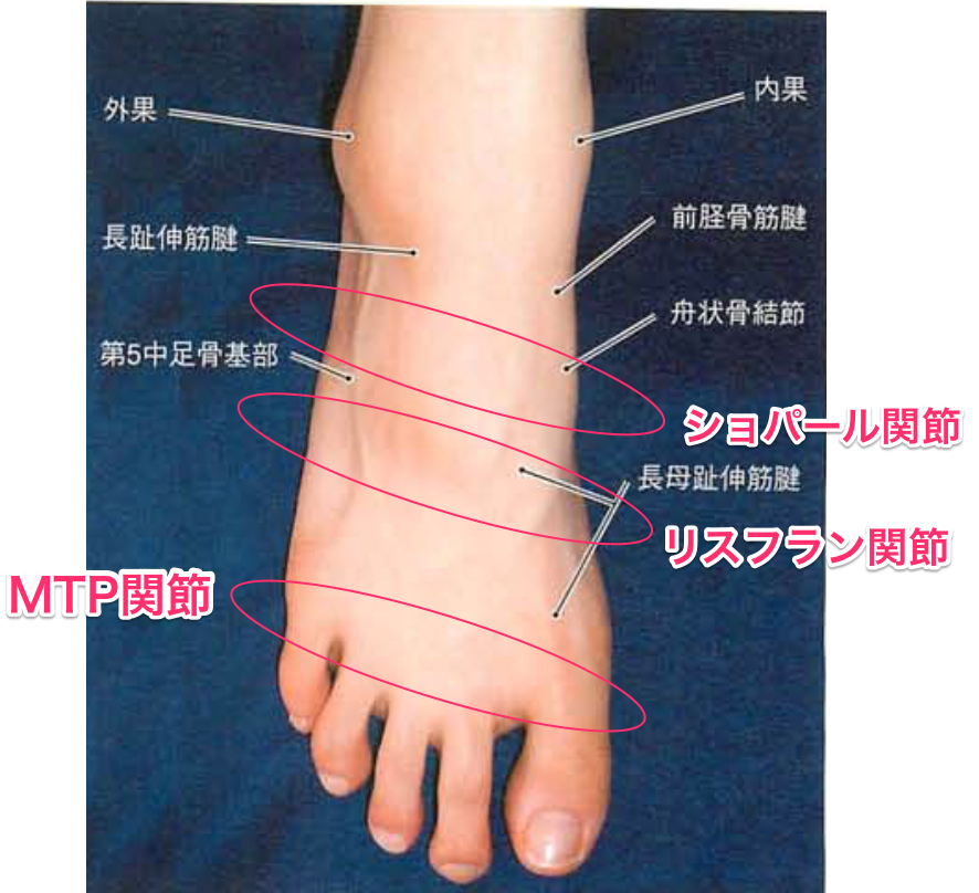足 の 甲 骨折 放置